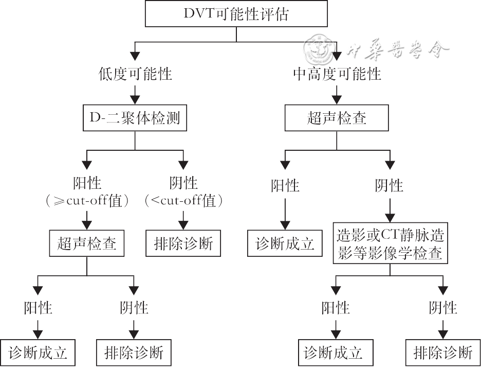 D-二聚体实验室检测与临床应用中国专家共识2023