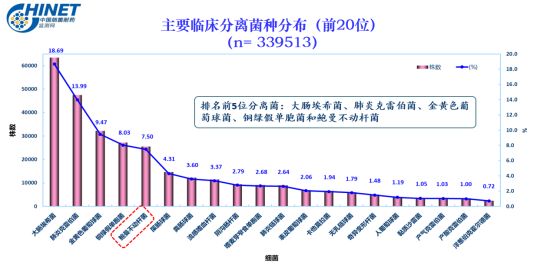曲俊彦教授：碳青霉烯酶类耐药鲍曼不动杆菌感染的诊治进展
