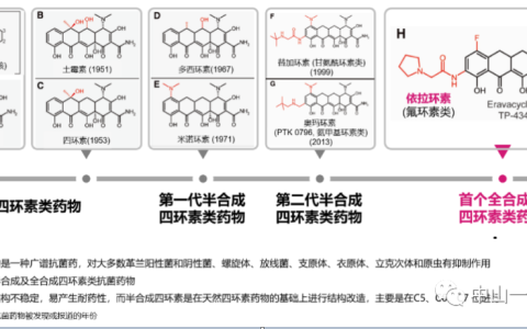 全面了解依拉环素