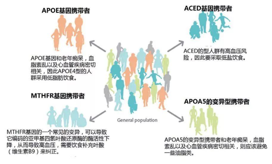 营养风险及营养风险筛查工具临床应用专家共识