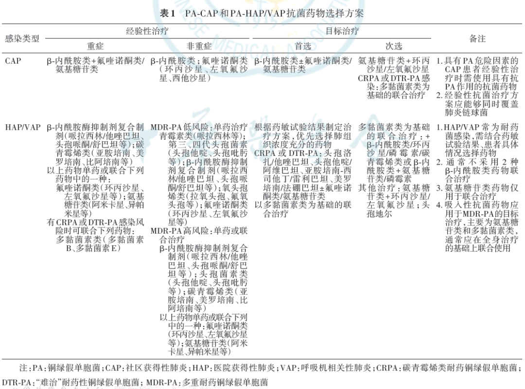 中国铜绿假单胞菌下呼吸道感染诊治专家共识 2022