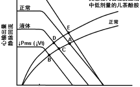 危重和休克患者静脉回流: 第二部分: 休克和机械通气