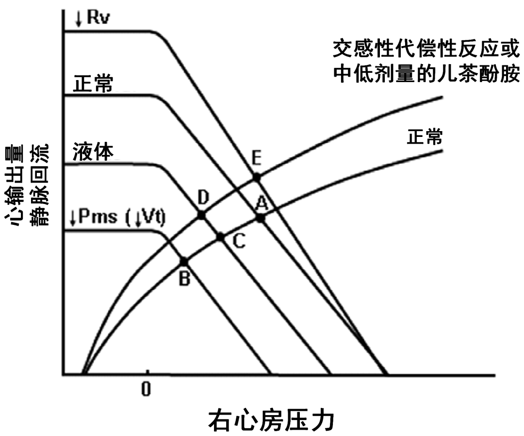 危重和休克患者静脉回流: 第二部分: 休克和机械通气