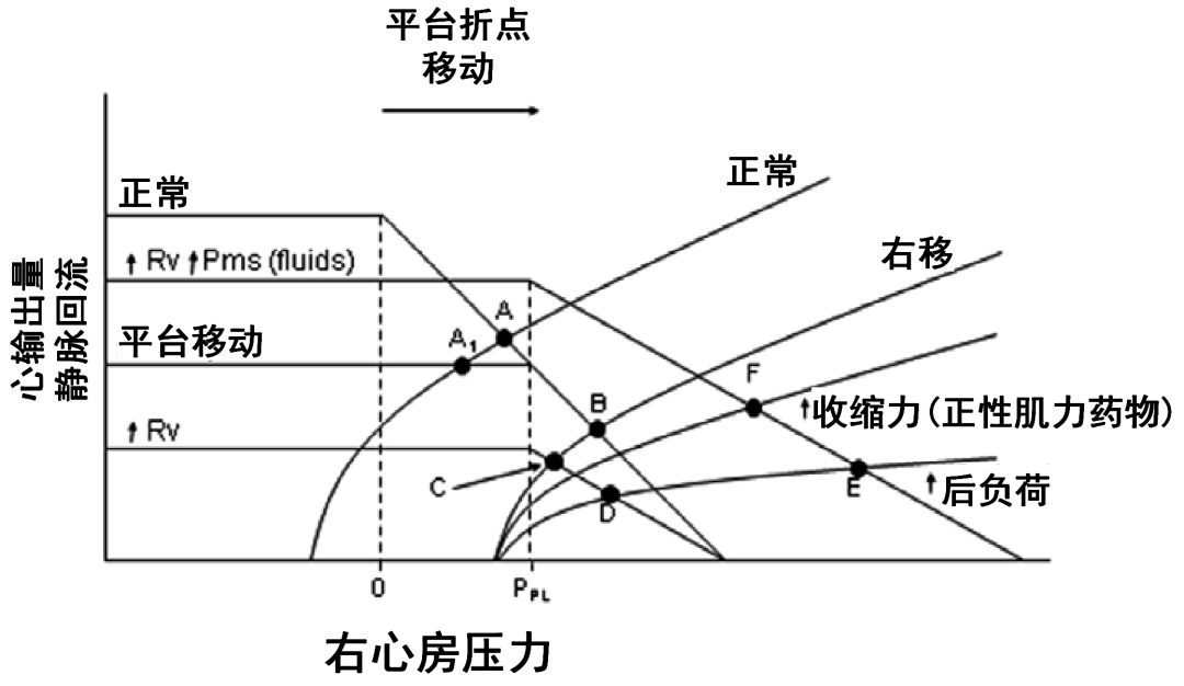 危重和休克患者静脉回流: 第二部分: 休克和机械通气
