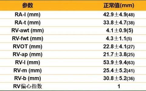 孔令秋：超声心动图评价右心功能的常用参数