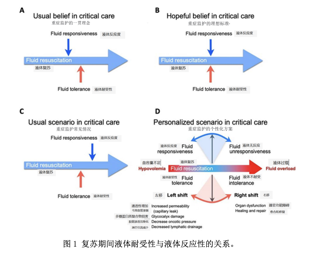 对于下腔静脉，吾等当知何事？