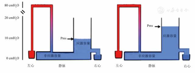 静脉回流:重症医学医师值得关注的心功能之外的问题