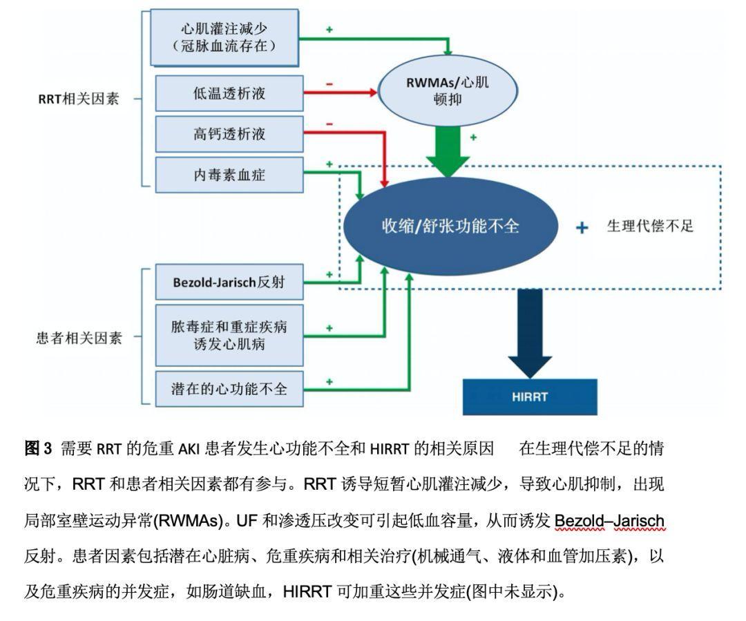 肾脏替代治疗相关血流动力学不稳定机制：叙述性综述