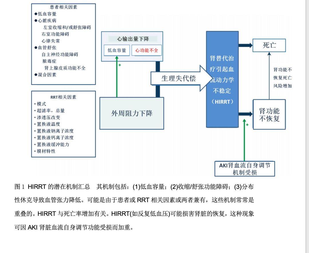 肾脏替代治疗相关血流动力学不稳定机制：叙述性综述