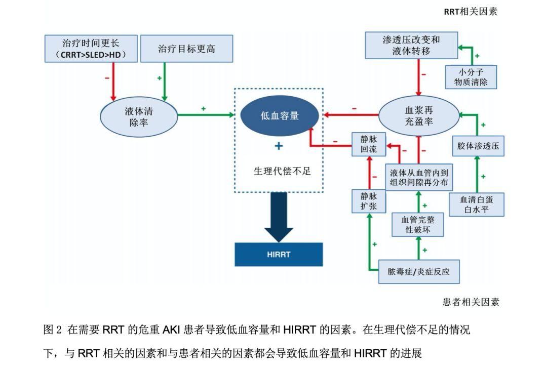肾脏替代治疗相关血流动力学不稳定机制：叙述性综述