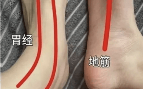 揉这根筋,可以辅助治疗十几种病，效果还不错