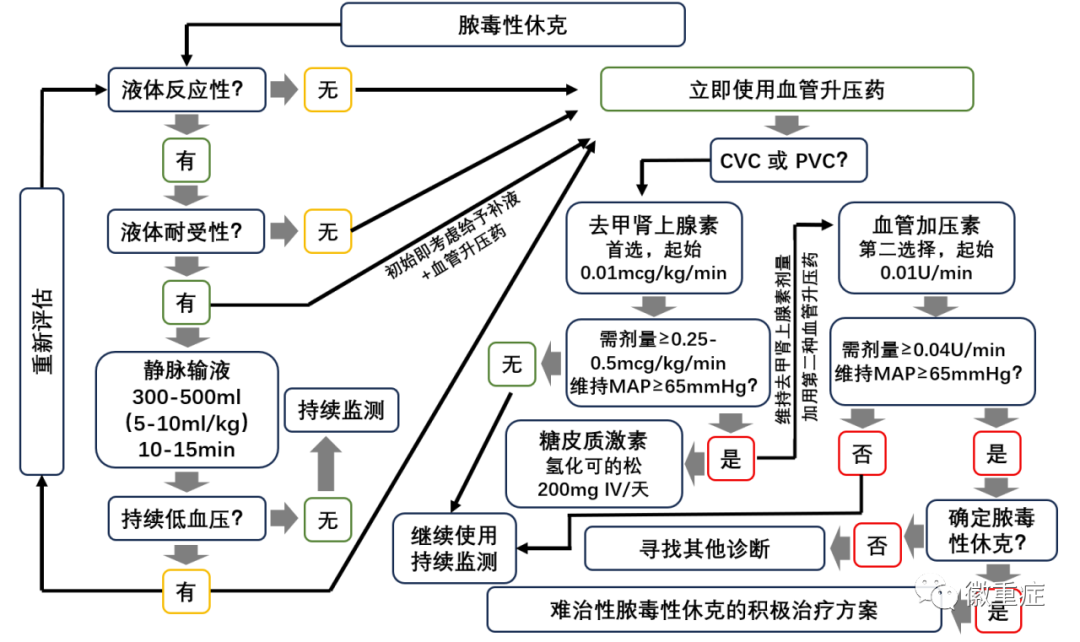下一个前沿:微循环引导下的脓毒症复苏