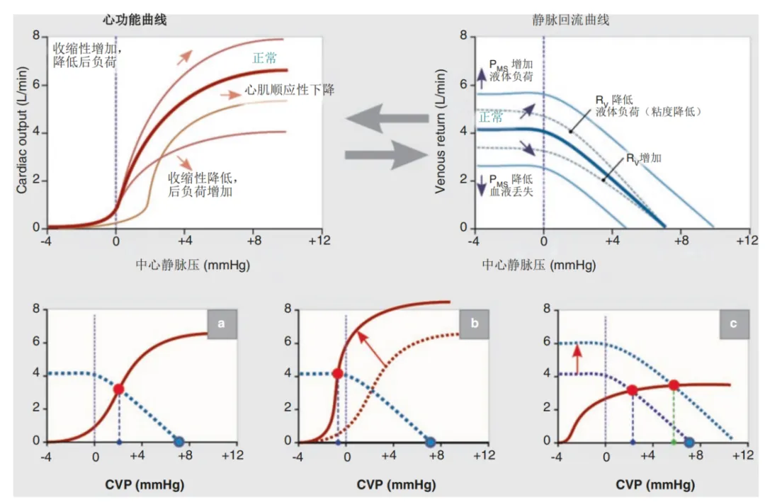 血流动力学基础：中心静脉压