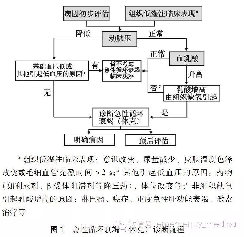 急性循环衰竭中国急诊临床实践专家共识 2016