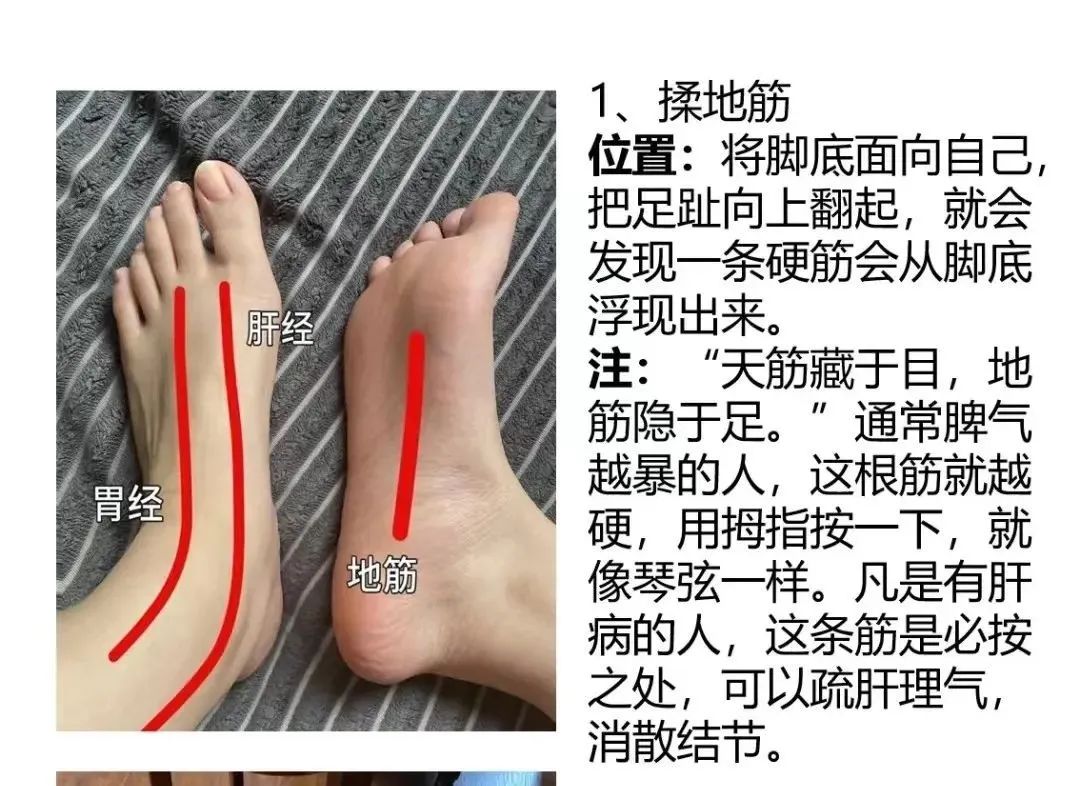 揉这根筋,可以辅助治疗十几种病，效果还不错