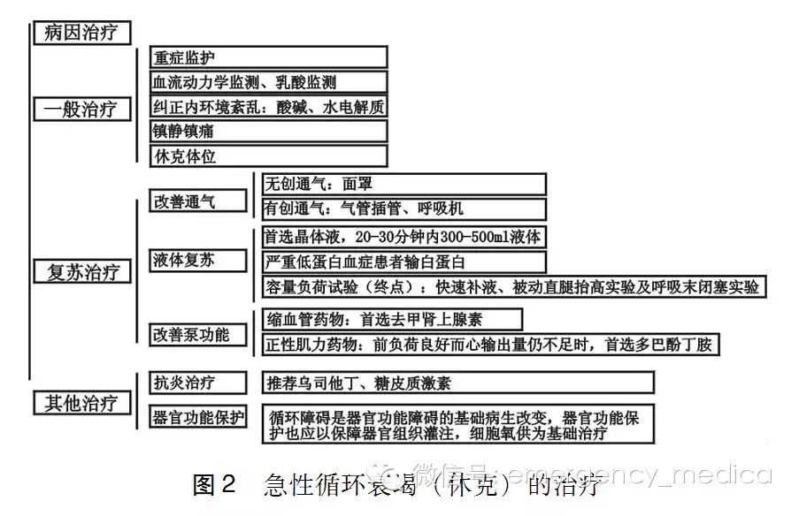 急性循环衰竭中国急诊临床实践专家共识 2016