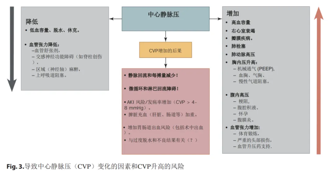 血流动力学基础：中心静脉压