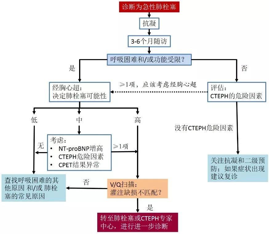 ​2019 ESC热点透视—急性肺栓塞指南更新（综述）