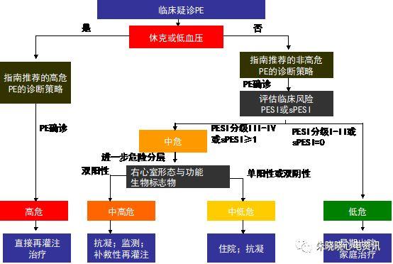 中国急性肺栓塞诊断与治疗指南（2015）