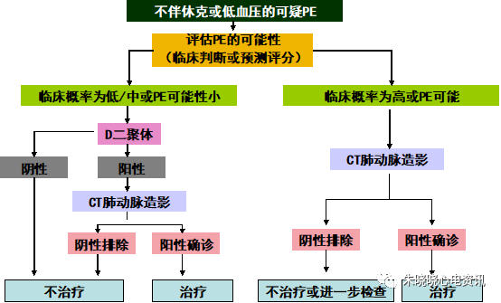 中国急性肺栓塞诊断与治疗指南（2015）