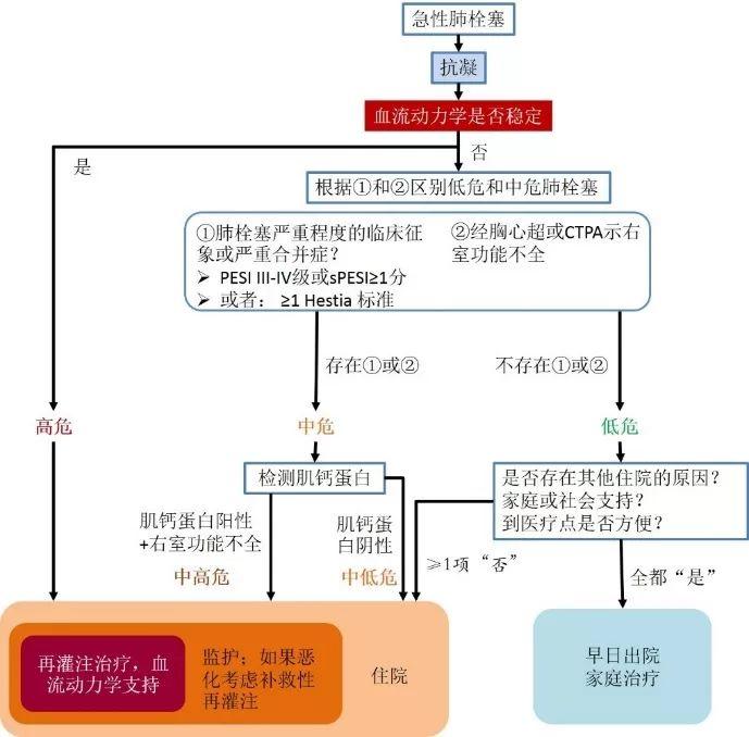 ​2019 ESC热点透视—急性肺栓塞指南更新（综述）