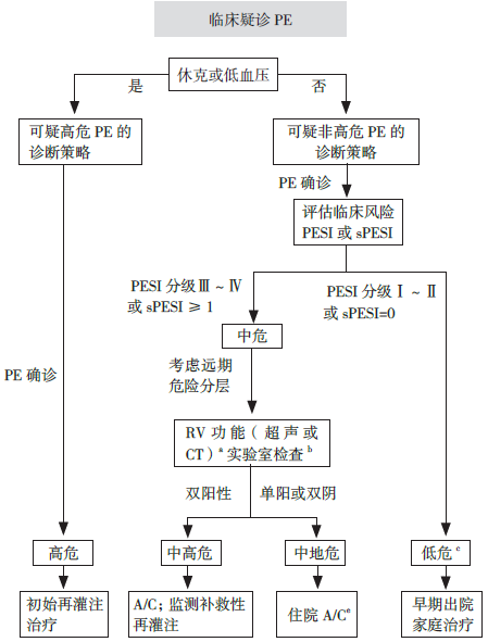 ​2019 ESC热点透视—急性肺栓塞指南更新（综述）