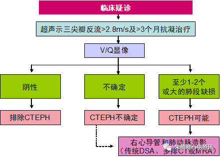 中国急性肺栓塞诊断与治疗指南（2015）
