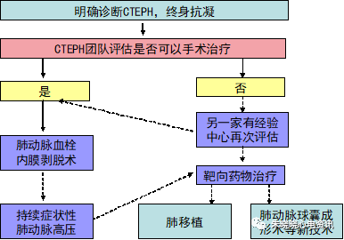 中国急性肺栓塞诊断与治疗指南（2015）