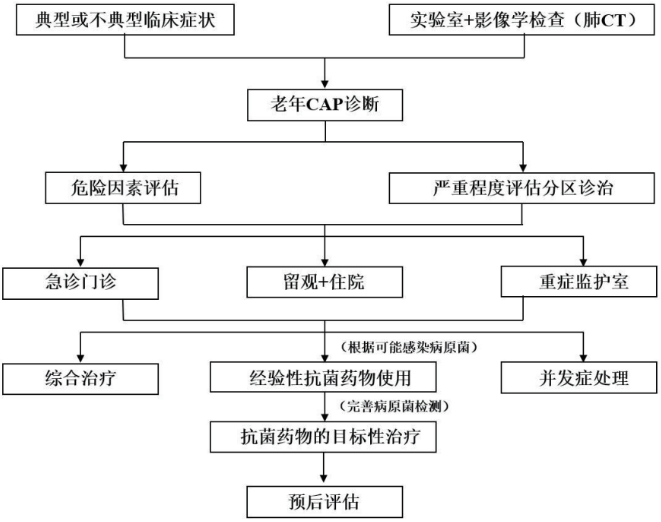 中国老年社区获得性肺炎急诊诊疗专家共识2023