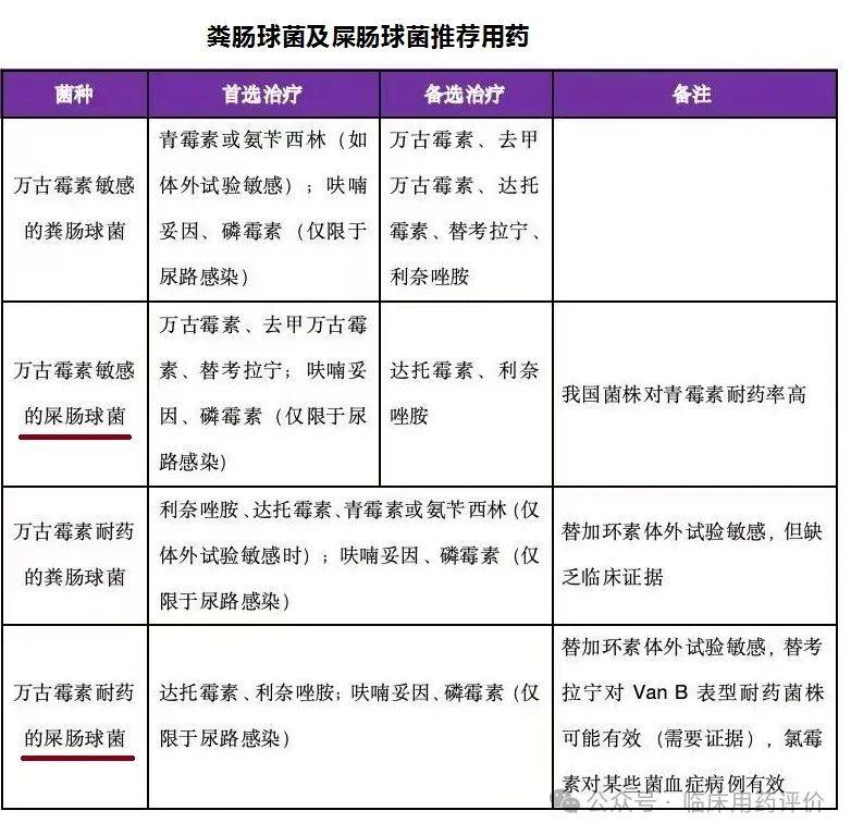 屎肠球菌临床特点及其治疗