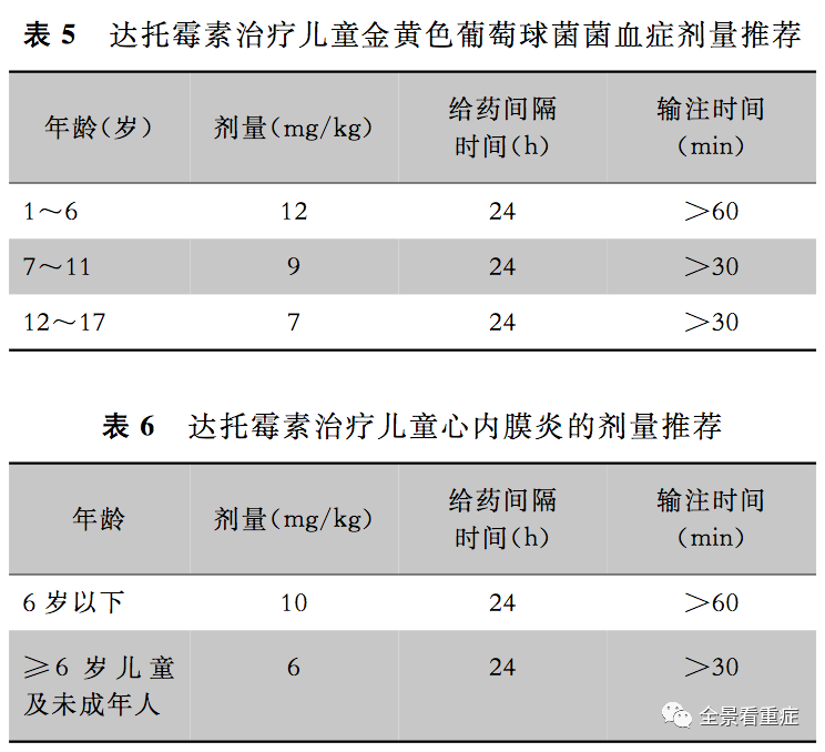 达托霉素临床应用专家意见(2019)