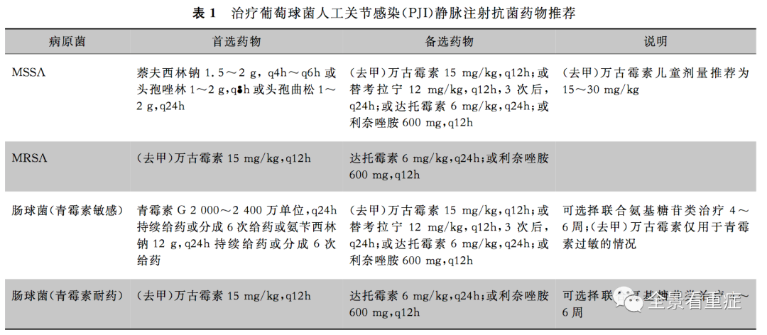 达托霉素临床应用专家意见(2019)