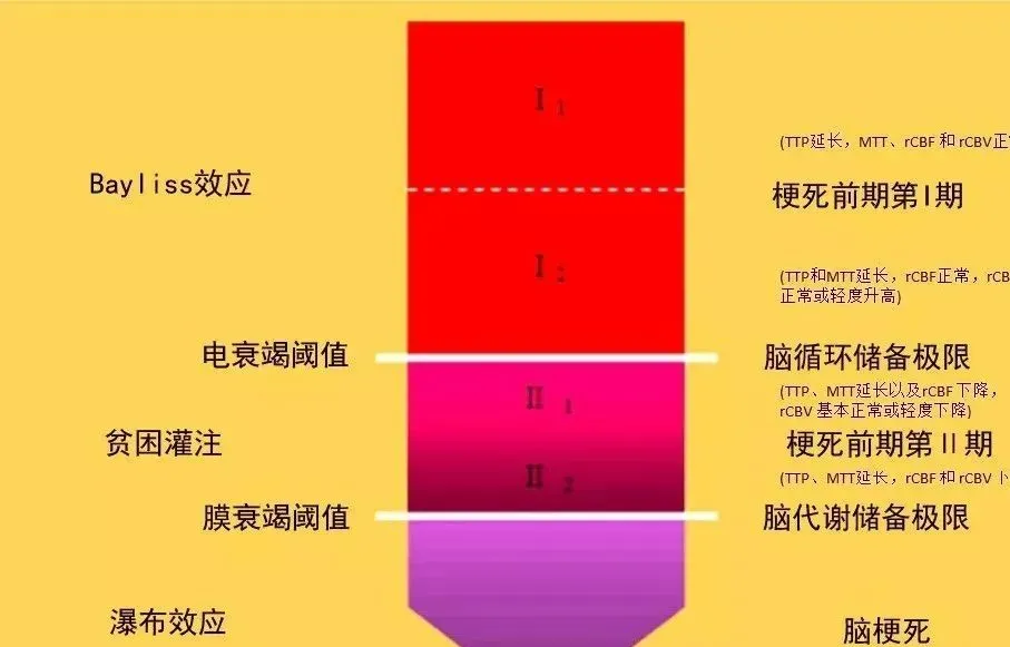 读懂CTP 脑灌注成像