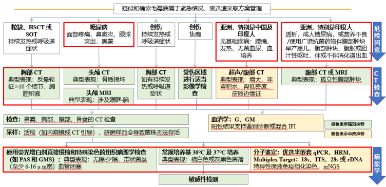 施毅教授:非粒缺患者侵袭性肺真菌病诊疗思路