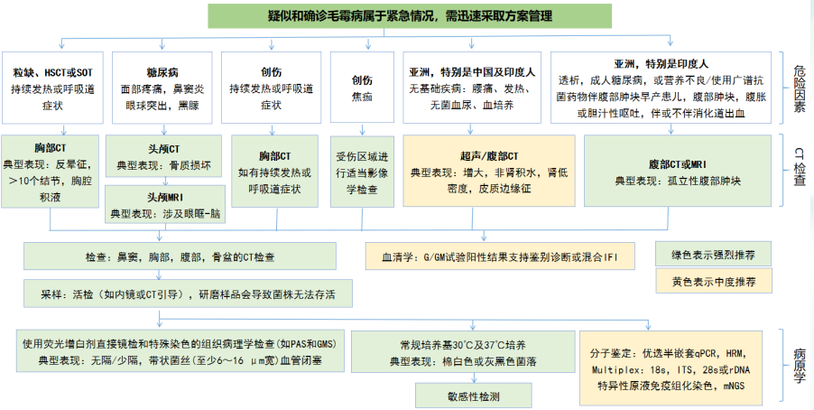 粒缺与非粒缺患者侵袭性肺真菌病诊疗思路大不同
