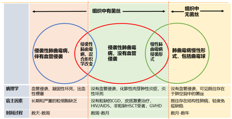 施毅教授:非粒缺患者侵袭性肺真菌病诊疗思路