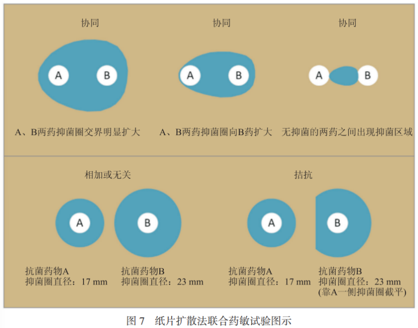 碳青霉烯类耐药革兰阴性菌联合药敏试验及报告专家共识2023