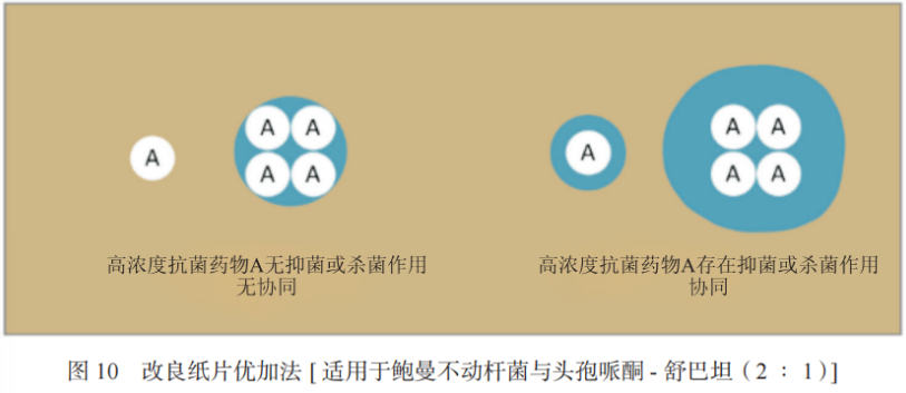 碳青霉烯类耐药革兰阴性菌联合药敏试验及报告专家共识2023