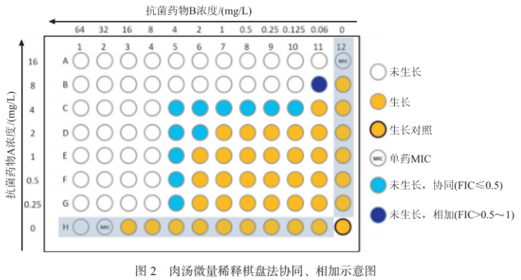 碳青霉烯类耐药革兰阴性菌联合药敏试验及报告专家共识2023