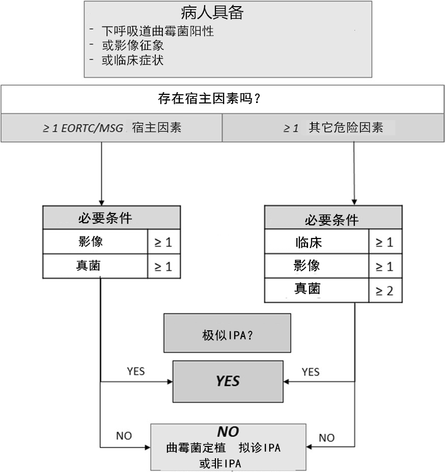 查到真菌，如何判定是定植还是感染？