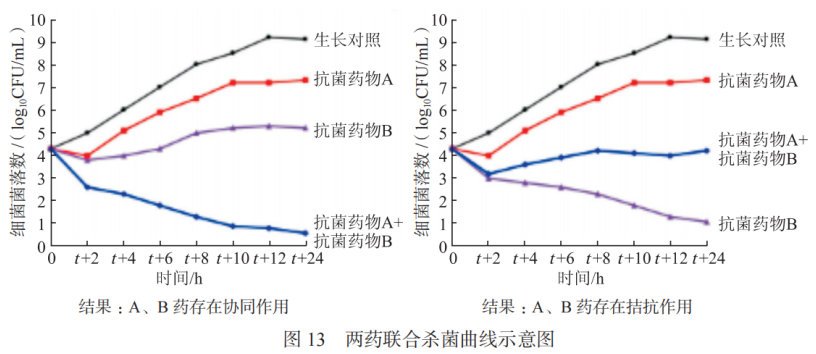 碳青霉烯类耐药革兰阴性菌联合药敏试验及报告专家共识2023