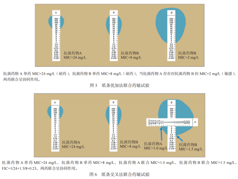 碳青霉烯类耐药革兰阴性菌联合药敏试验及报告专家共识2023