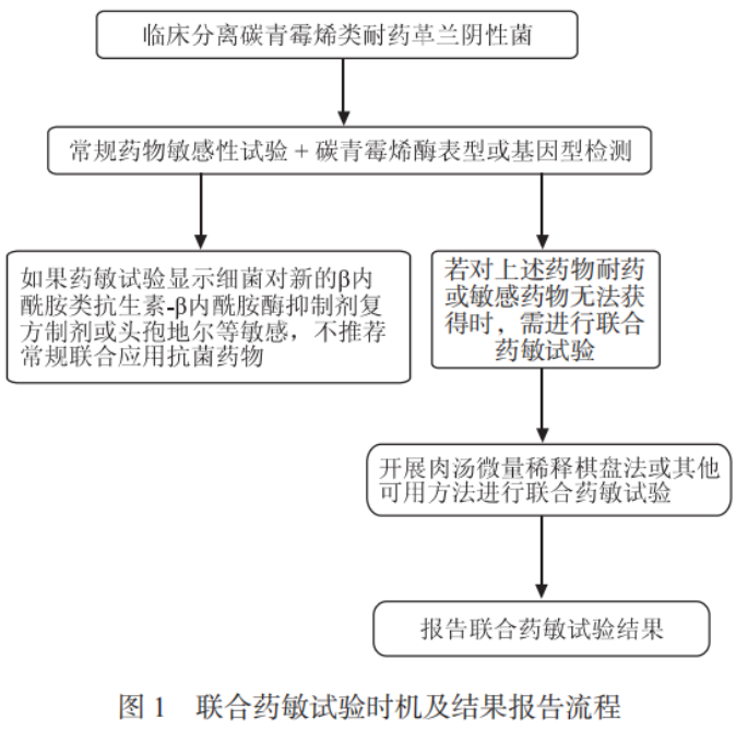 碳青霉烯类耐药革兰阴性菌联合药敏试验及报告专家共识2023