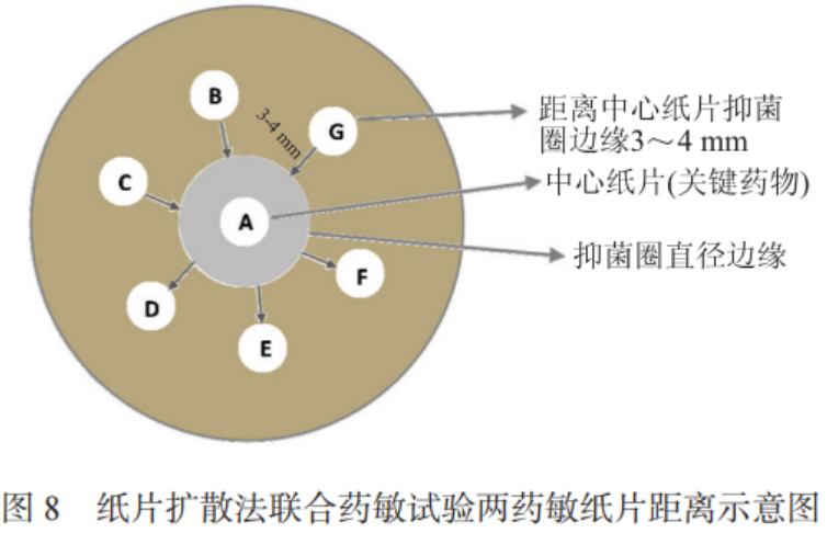 碳青霉烯类耐药革兰阴性菌联合药敏试验及报告专家共识2023