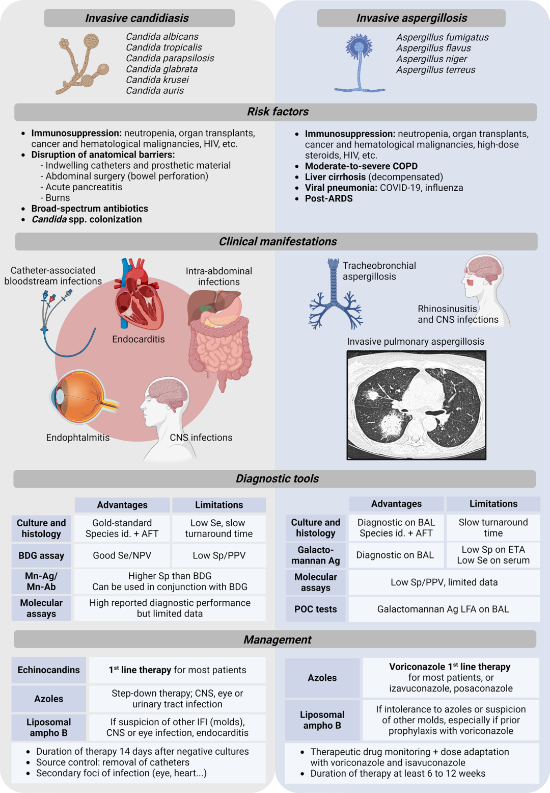 Intensive Care Med-2024-非中性粒细胞减少患者中的侵袭性真菌感染:诊断与治疗的新进展