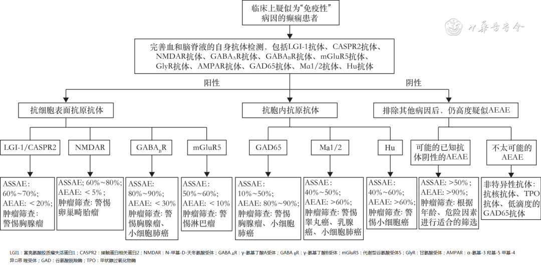 【综述】癫痫的自身免疫性病因研究进展概述