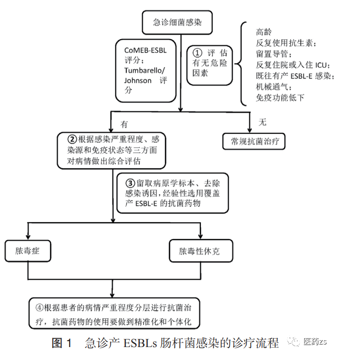 产超广谱β内酰胺酶肠杆菌感染急诊诊疗中国专家共识2020