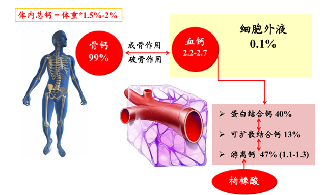 张凌教授:2023年局部枸橼酸抗凝研究进展-RCA联合肝素抗凝