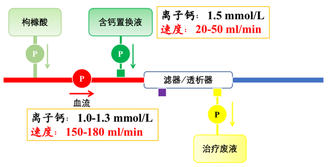 张凌教授:2023年局部枸橼酸抗凝研究进展-RCA联合肝素抗凝