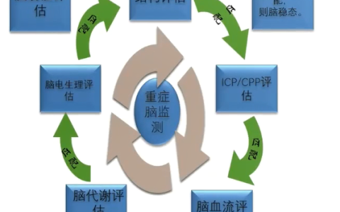 使用多模态神经监测的实践标准